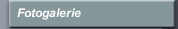 Fotogalerie